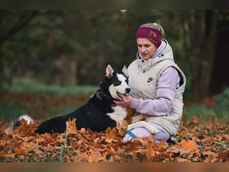 Lebensfroher Chico sucht seine Menschen