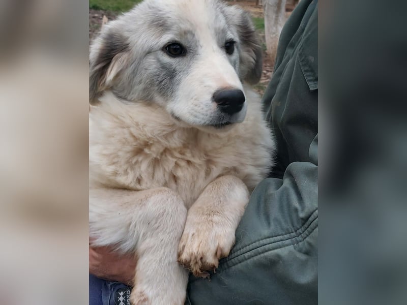 Naya ist auf der Suche nach ihrem Glück