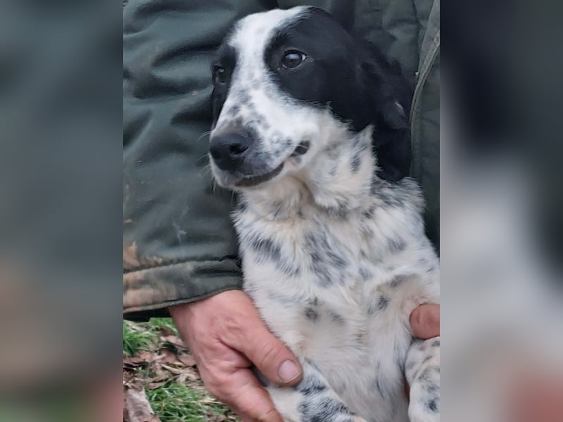 Conny wartet auf ihre Menschen!