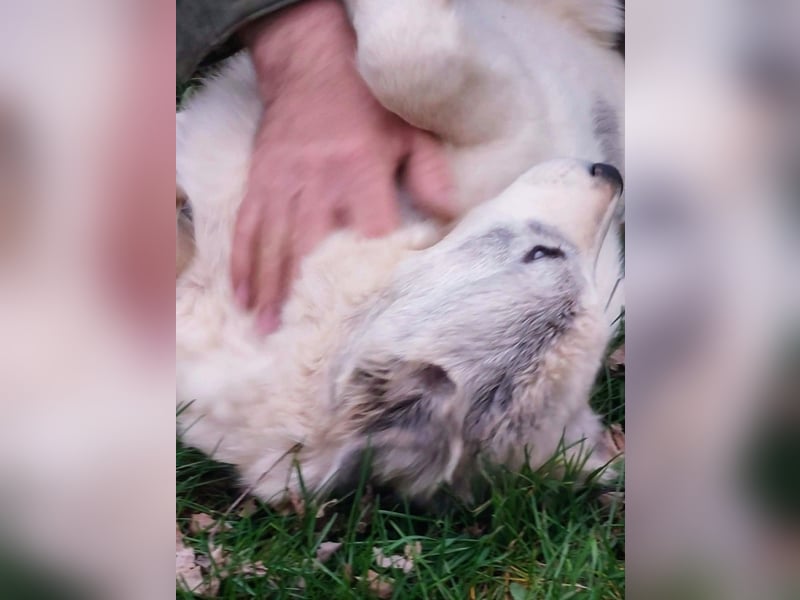 Naya ist auf der Suche nach ihrem Glück