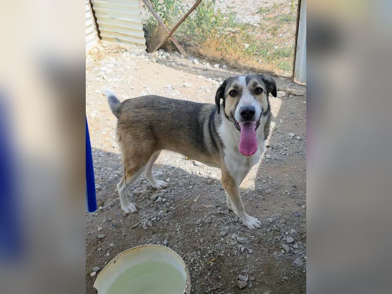 Emma wartet auf ihre Menschen!