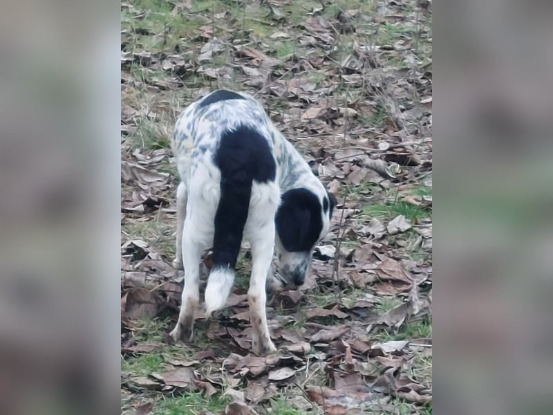 Conny wartet auf ihre Menschen!