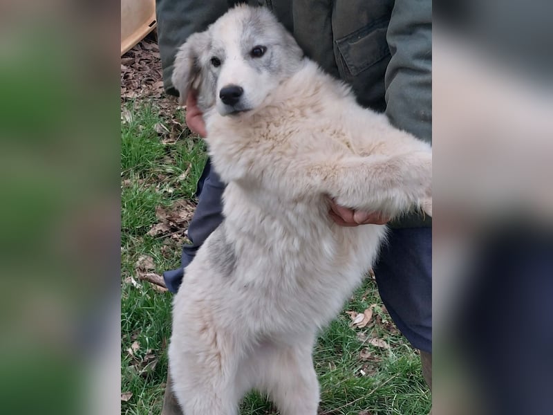 Naya ist auf der Suche nach ihrem Glück