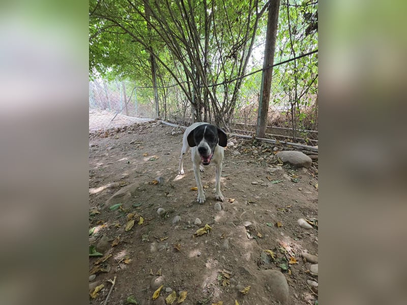 Feu - sensibel und temperamentvoll!