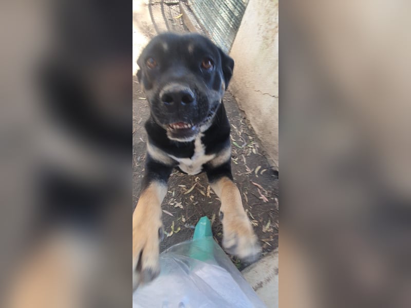 TRUDY – Eine Seele voller Liebe hinter kalten Gittern