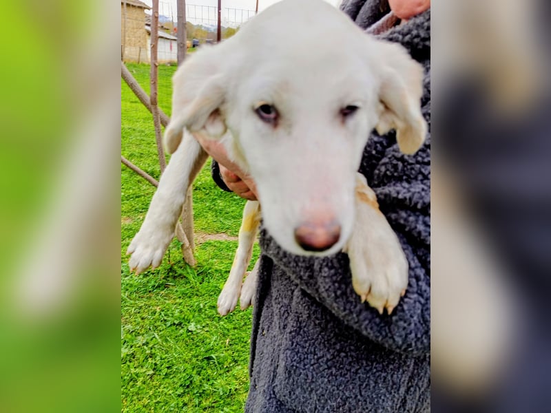 Angel-ein Engel sucht seinen Wirkungskreis