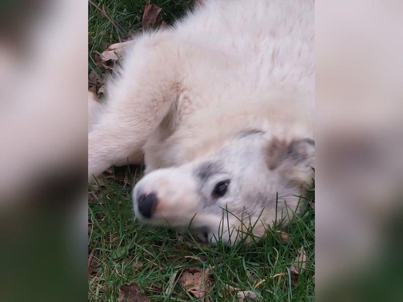 Naya ist auf der Suche nach ihrem Glück