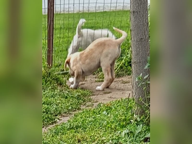 Trevor sucht seine Seelen-Menschen