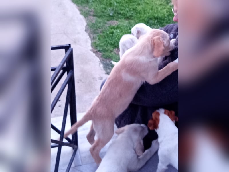 Trevor sucht seine Seelen-Menschen