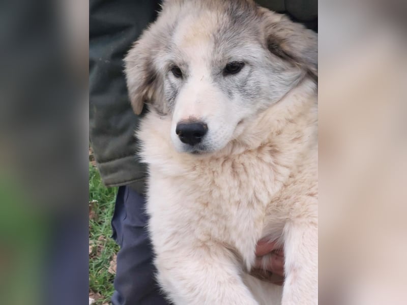 Naya ist auf der Suche nach ihrem Glück