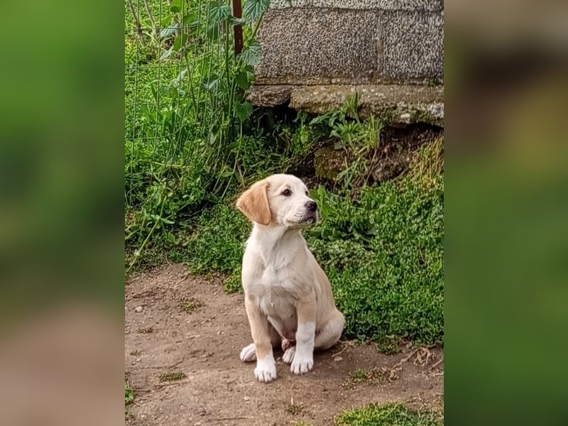 Trevor sucht seine Seelen-Menschen