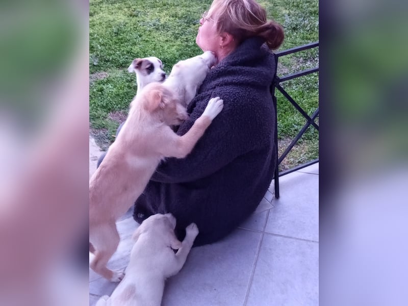 Trevor sucht seine Seelen-Menschen