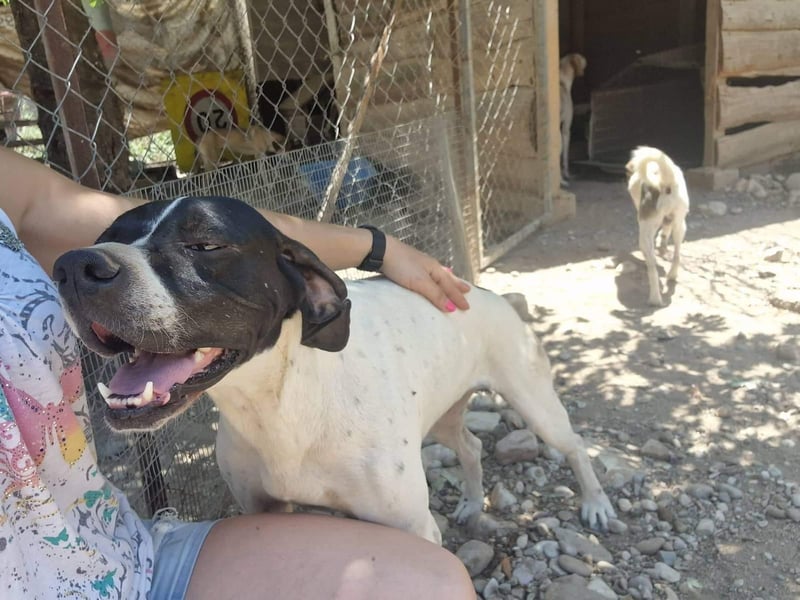 Feu - sensibel und temperamentvoll!