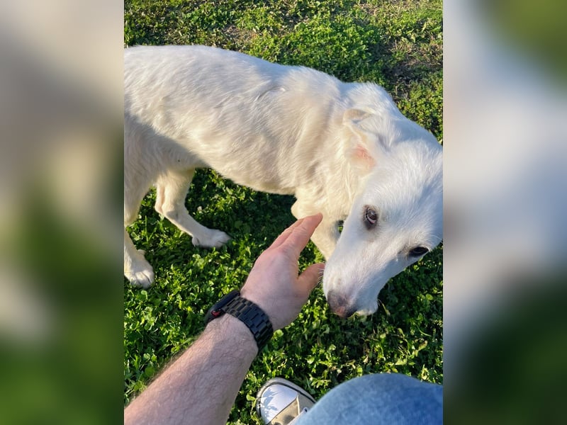 Angel-ein Engel sucht seinen Wirkungskreis