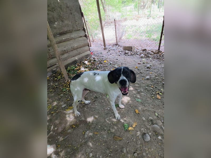 Feu - sensibel und temperamentvoll!