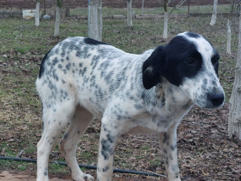 Conny wartet auf ihre Menschen!