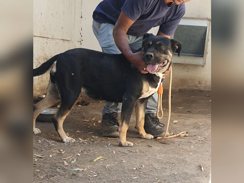 TRUDY – Eine Seele voller Liebe hinter kalten Gittern