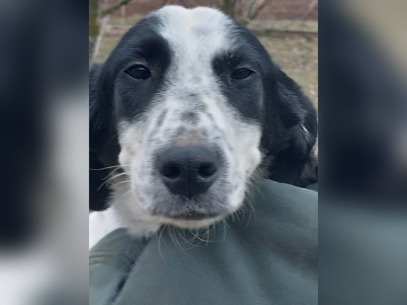 Conny wartet auf ihre Menschen!