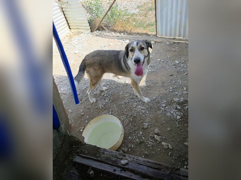 Emma wartet auf ihre Menschen!