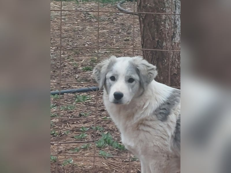 Naya ist auf der Suche nach ihrem Glück