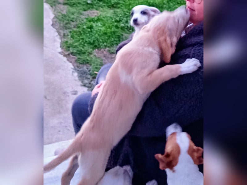 Trevor sucht seine Seelen-Menschen