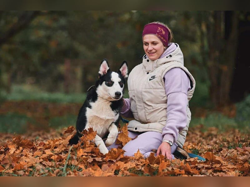 Lebensfroher Chico sucht seine Menschen