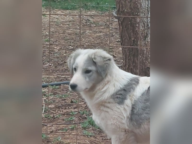 Naya ist auf der Suche nach ihrem Glück