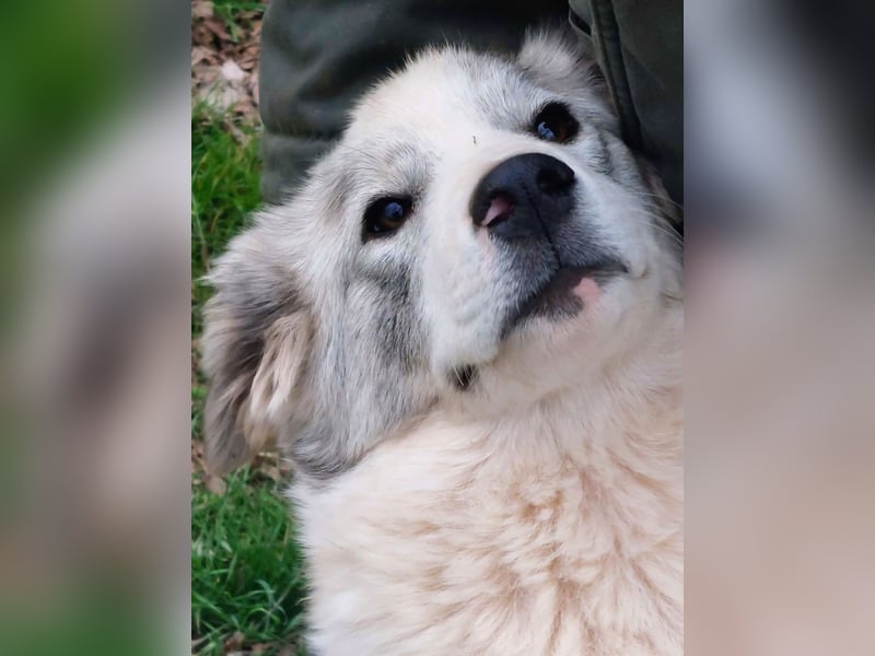 Naya ist auf der Suche nach ihrem Glück