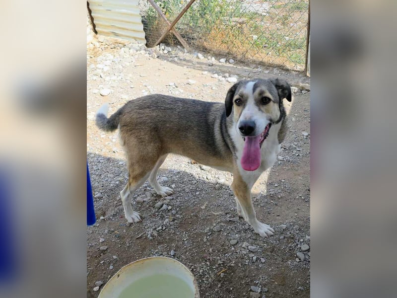 Emma wartet auf ihre Menschen!