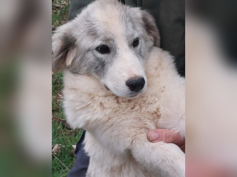 Naya ist auf der Suche nach ihrem Glück