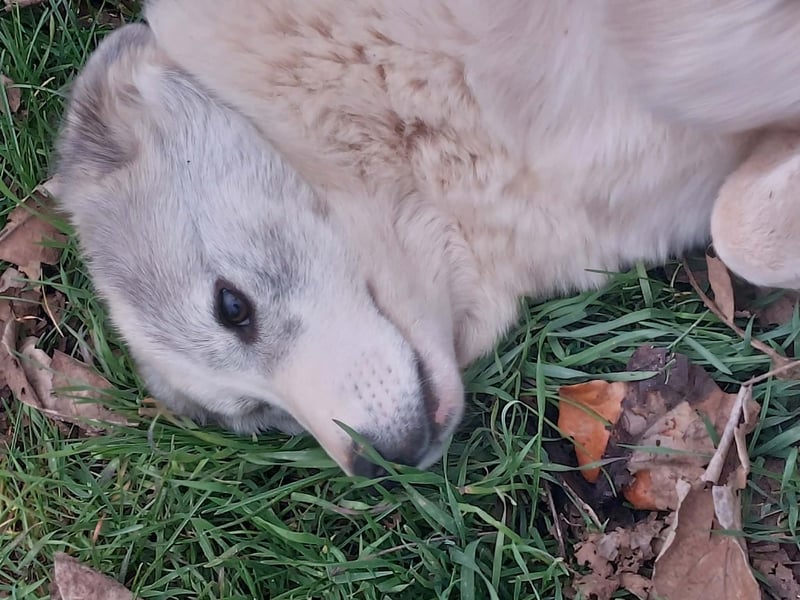 Naya ist auf der Suche nach ihrem Glück