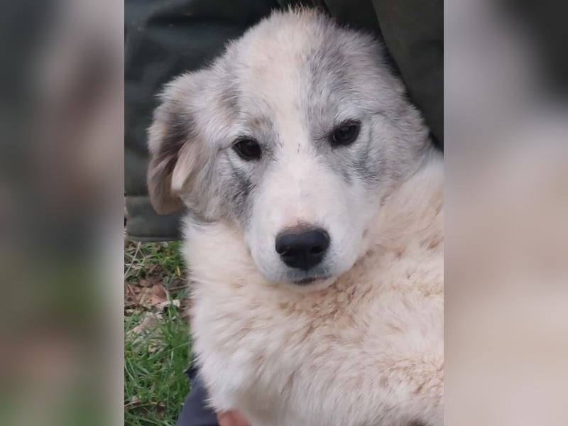 Naya ist auf der Suche nach ihrem Glück