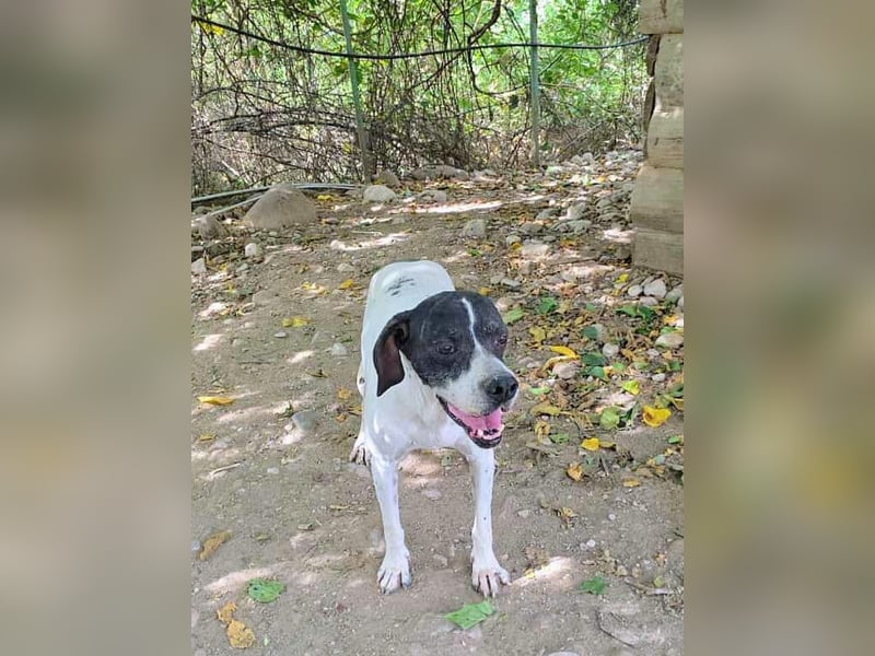 Feu - sensibel und temperamentvoll!