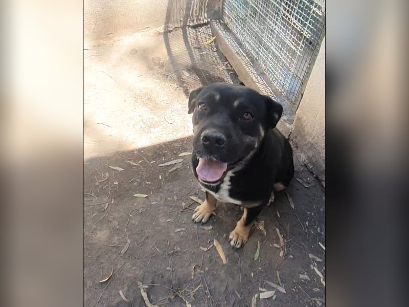 TRUDY – Eine Seele voller Liebe hinter kalten Gittern