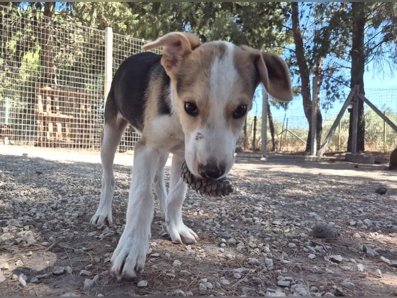 ZEUS – trägt einen großen Namen