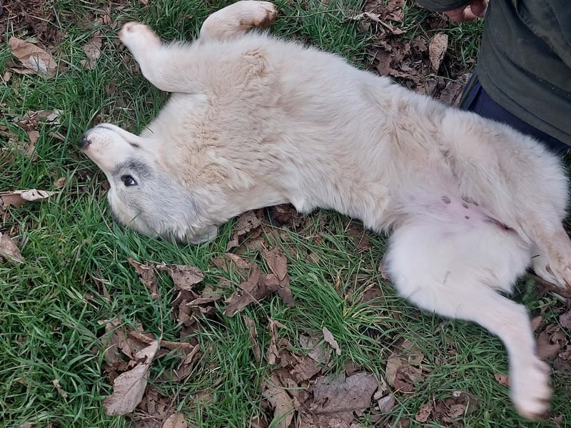 Naya ist auf der Suche nach ihrem Glück