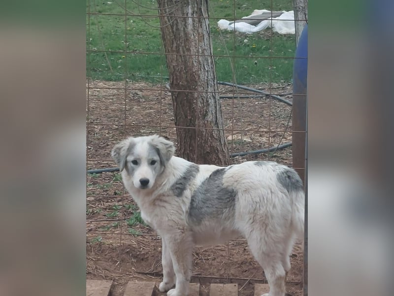 Naya ist auf der Suche nach ihrem Glück