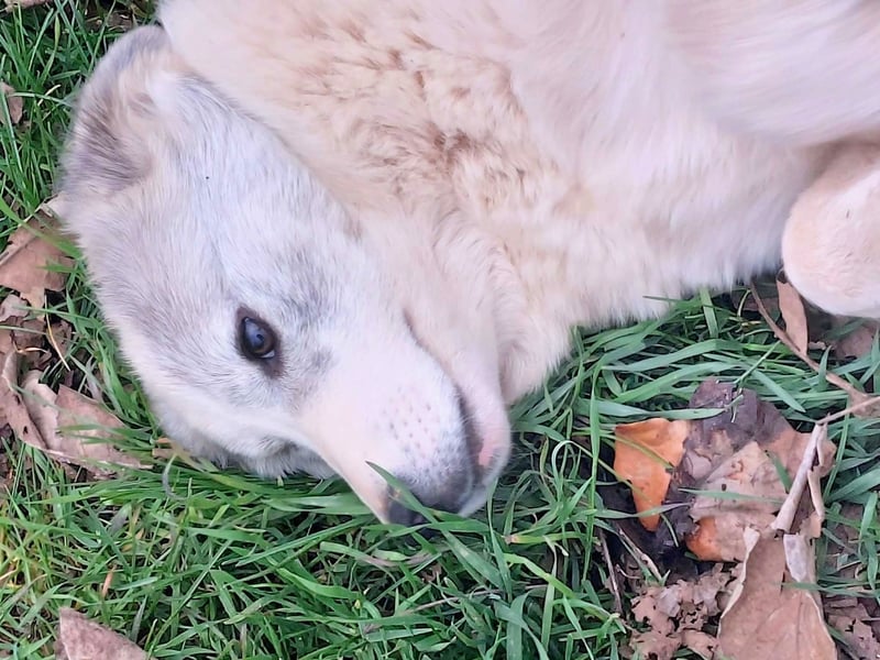 Naya ist auf der Suche nach ihrem Glück