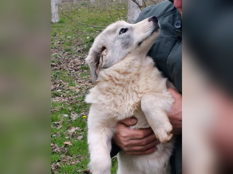 Naya ist auf der Suche nach ihrem Glück