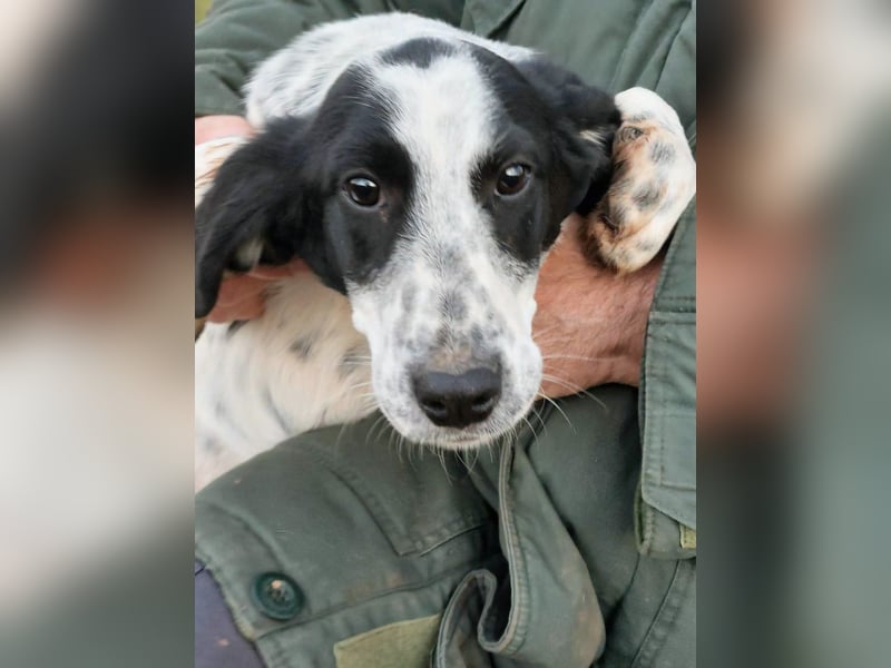 Conny wartet auf ihre Menschen!