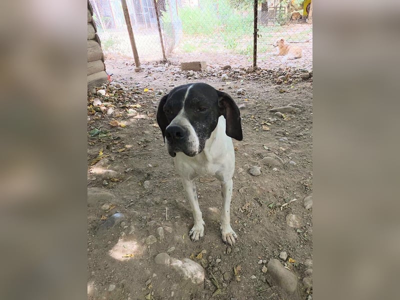 Feu - sensibel und temperamentvoll!