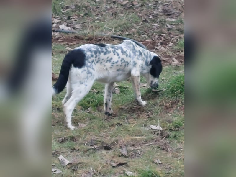 Conny wartet auf ihre Menschen!