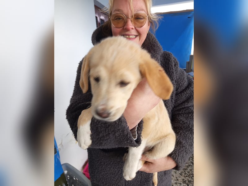 Trevor sucht seine Seelen-Menschen