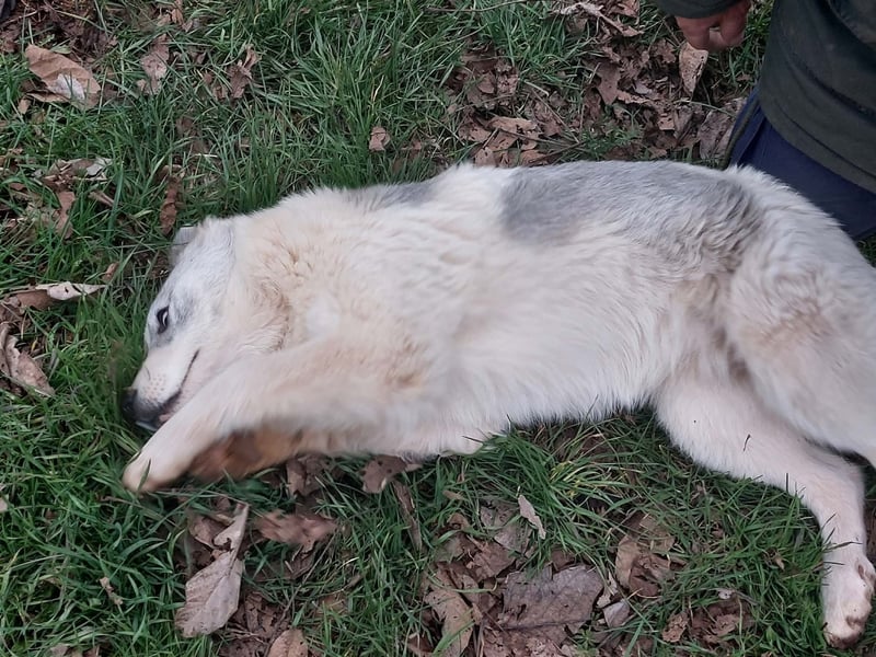 Naya ist auf der Suche nach ihrem Glück