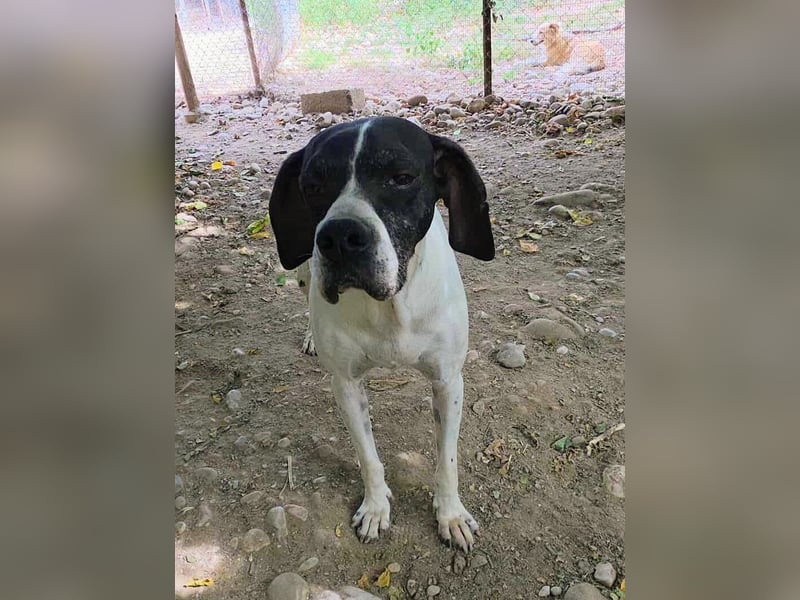 Feu - sensibel und temperamentvoll!