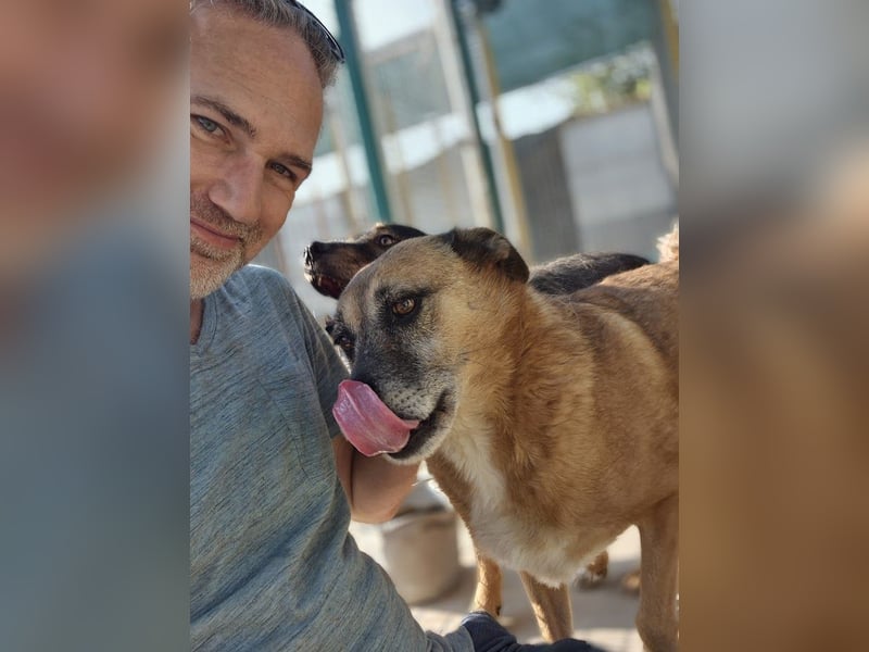 Cody - verschmuste, liebe Wasserratte