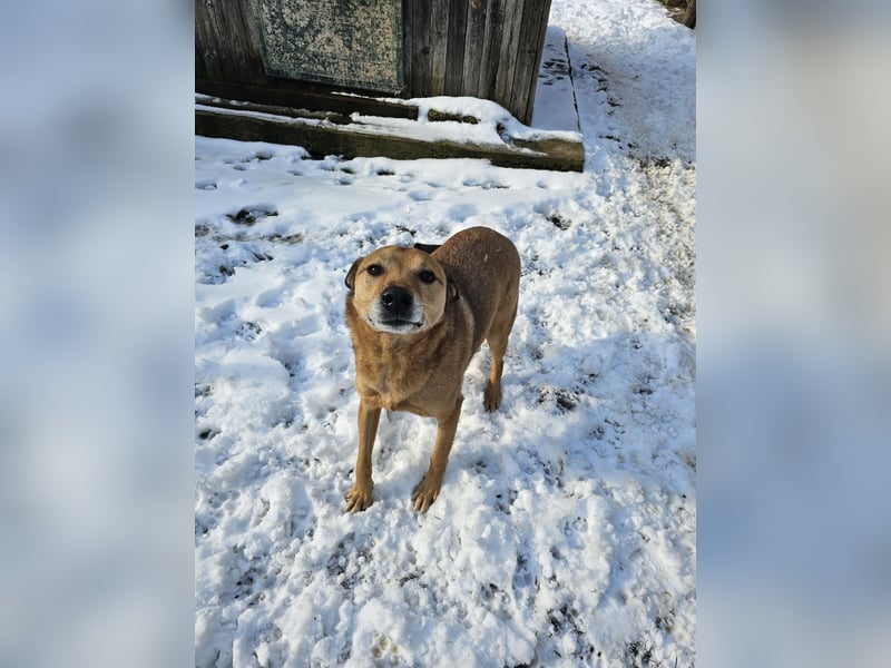 Unser Ulise sucht seine Familie