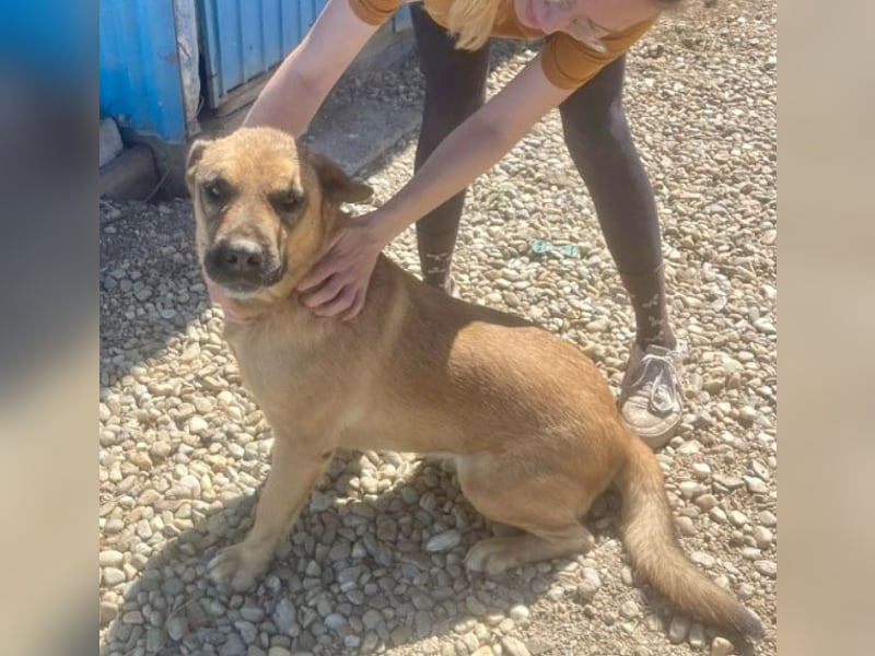 Lemonaria, unkomplizierte, liebe und fitte Seniorin