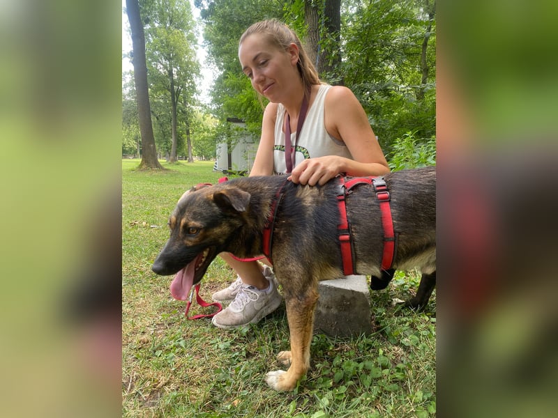 Joly sucht seine Person zum Ankommen
