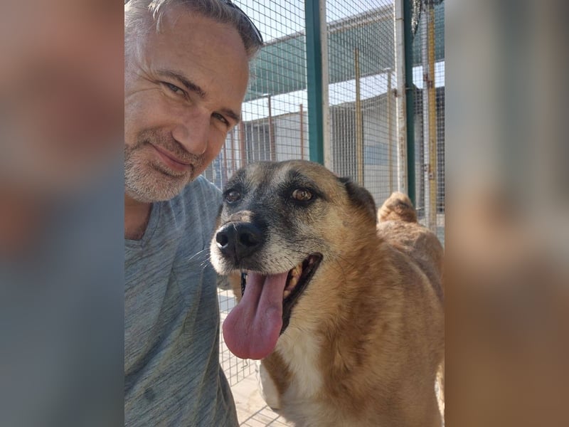 Cody - verschmuste, liebe Wasserratte